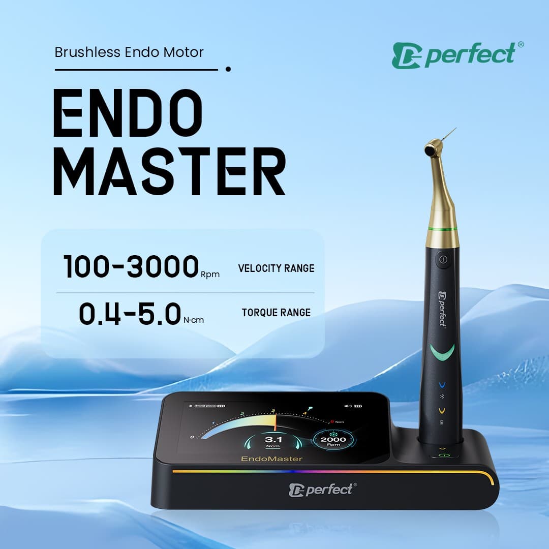 EndoMaster 2
